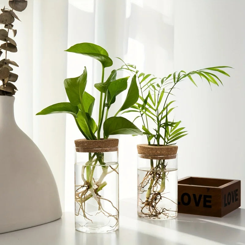 Glass Hydroponic Propagation Vase | Desktop Plant Station