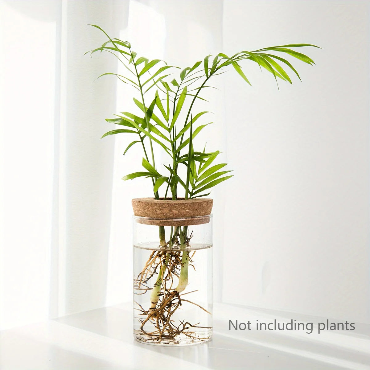 Glass Hydroponic Propagation Vase | Desktop Plant Station | 1 or 2 Pcs