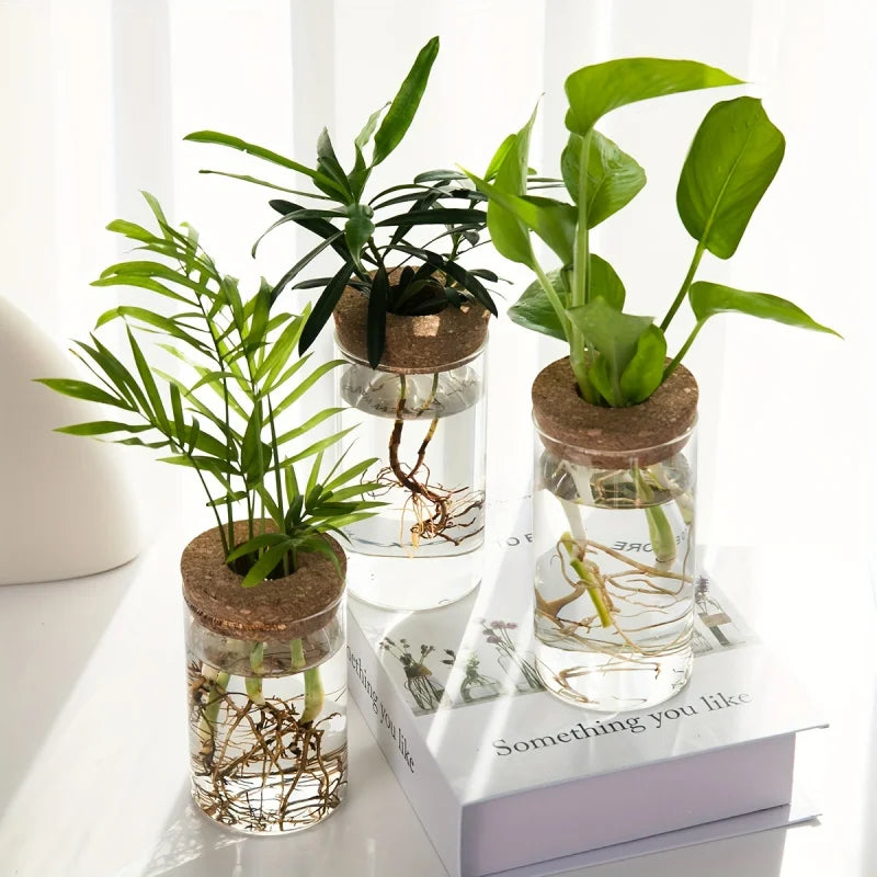 Glass Hydroponic Propagation Vase | Desktop Plant Station
