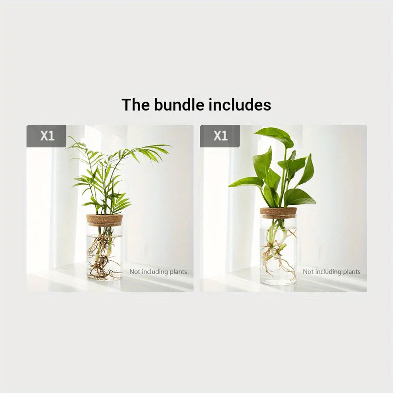 Glass Hydroponic Propagation Vase | Desktop Plant Station | 1 or 2 Pcs